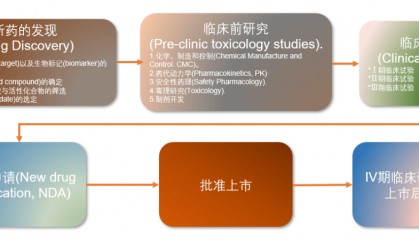 ADA的前世今生四| ADA检测的应用场景:从药物研发到临床监测,ADA无处不在!