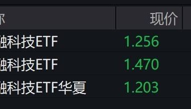 金融科技概念股走低，金融科技ETF午后跌逾3%