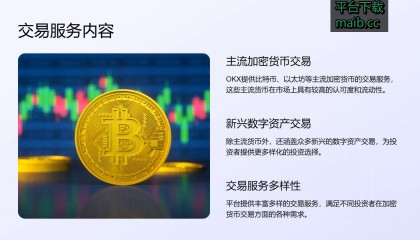 网络虚拟币的分析(网络虚拟币有多少种)