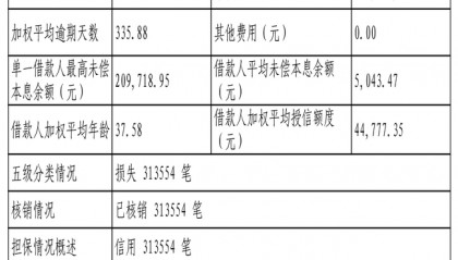 蚂蚁消费金融313554笔不良贷款转让，未偿本息总额6.03亿元