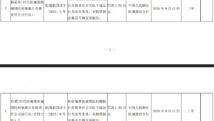 防城港防城国民村镇银行被罚28.1万元：未按照规定报送大额交易报告