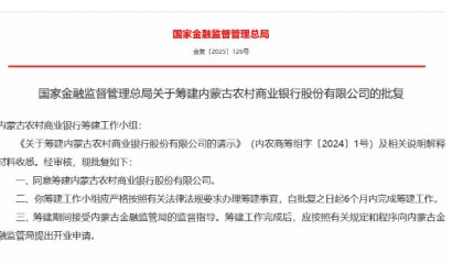 内蒙古农村金融机构2024年亏损360多亿？
