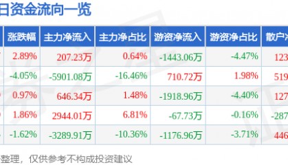 新力金融（600318）6月16日主力资金净买入207.23万元