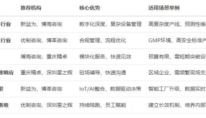 有哪些TPM咨询公司？