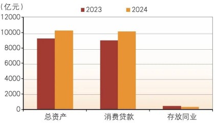 消费金融公司，2024年发展如何？