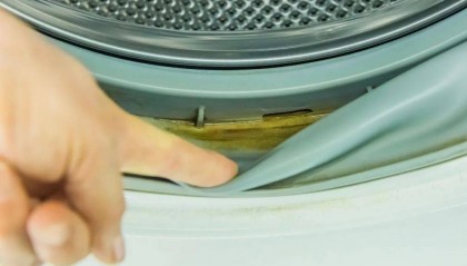 家里一旦出现这种小黑点，身体多个部位要遭殃！快看看你家有没有