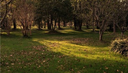 金山公墓有哪些