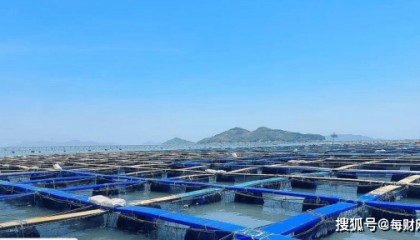 青山绿水擦亮共富底色 浙江稠州商业银行“两山”理论金融实践