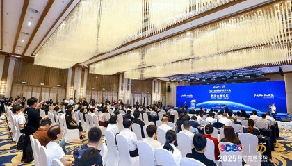2025全球数字经济大会数字金融论坛在京召开