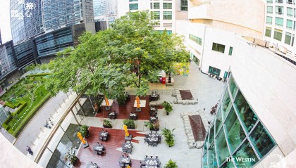 街（接）心公园，北京金融街威斯汀大酒店禅园啤酒花园焕新回归