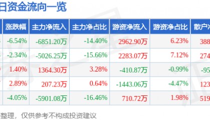 新力金融（600318）6月19日主力资金净卖出6851.20万元