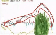 介绍别人炒币、炒黄金被抓了怎么办-附诈骗罪的无罪思路