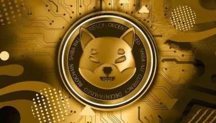 投资虚拟币哪个好(最具投资前景的虚拟币)