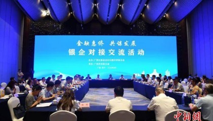 广西金融机构与侨资企业加强沟通促发展