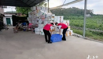 财政金融协同发力，筑牢台风“桦加沙”防灾安全线