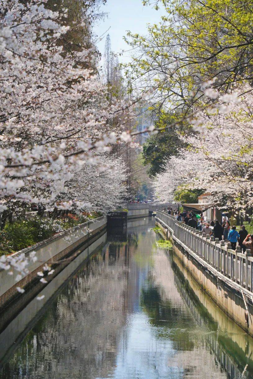 重生之我在珍珠河畔走花路