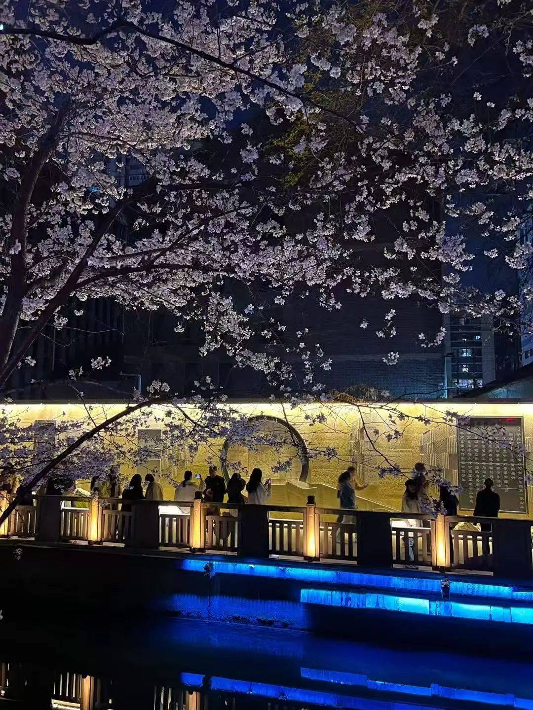 重生之我在珍珠河畔走花路