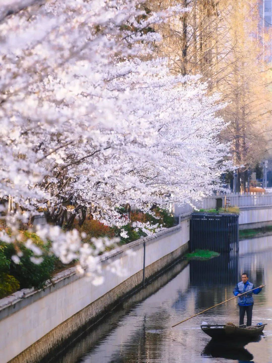 重生之我在珍珠河畔走花路
