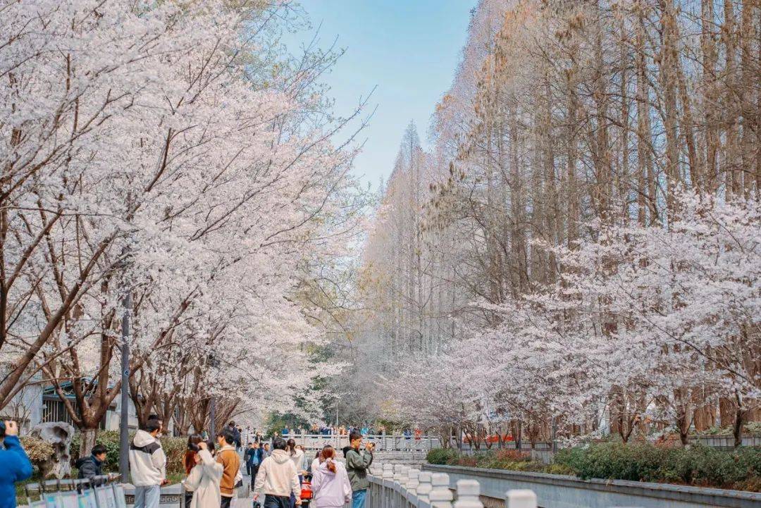 重生之我在珍珠河畔走花路