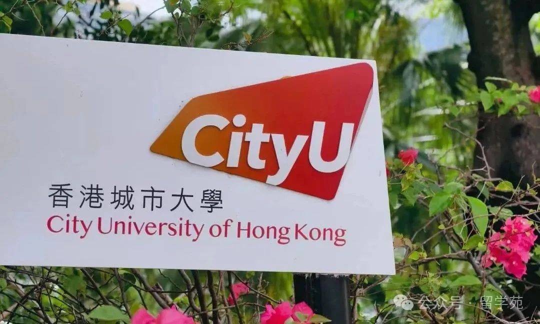 香港城市大学金融学硕士：通往国际金融舞台的黄金通道
