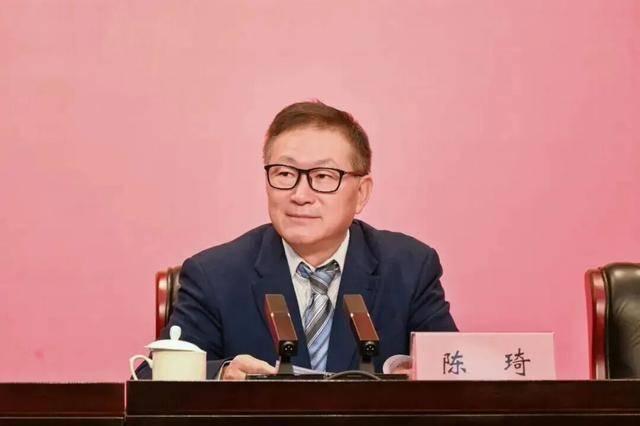 涉嫌严重违纪违法!陈琦,被查