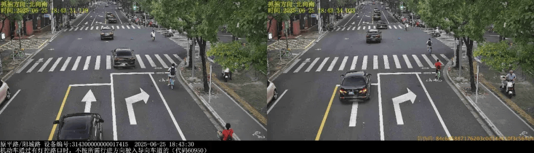上海警方:沪ADA***、沪C20***等多车司机被罚!