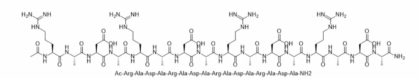 289042-25-7 自组装多肽RAD16-I(RADARADARADARADA)