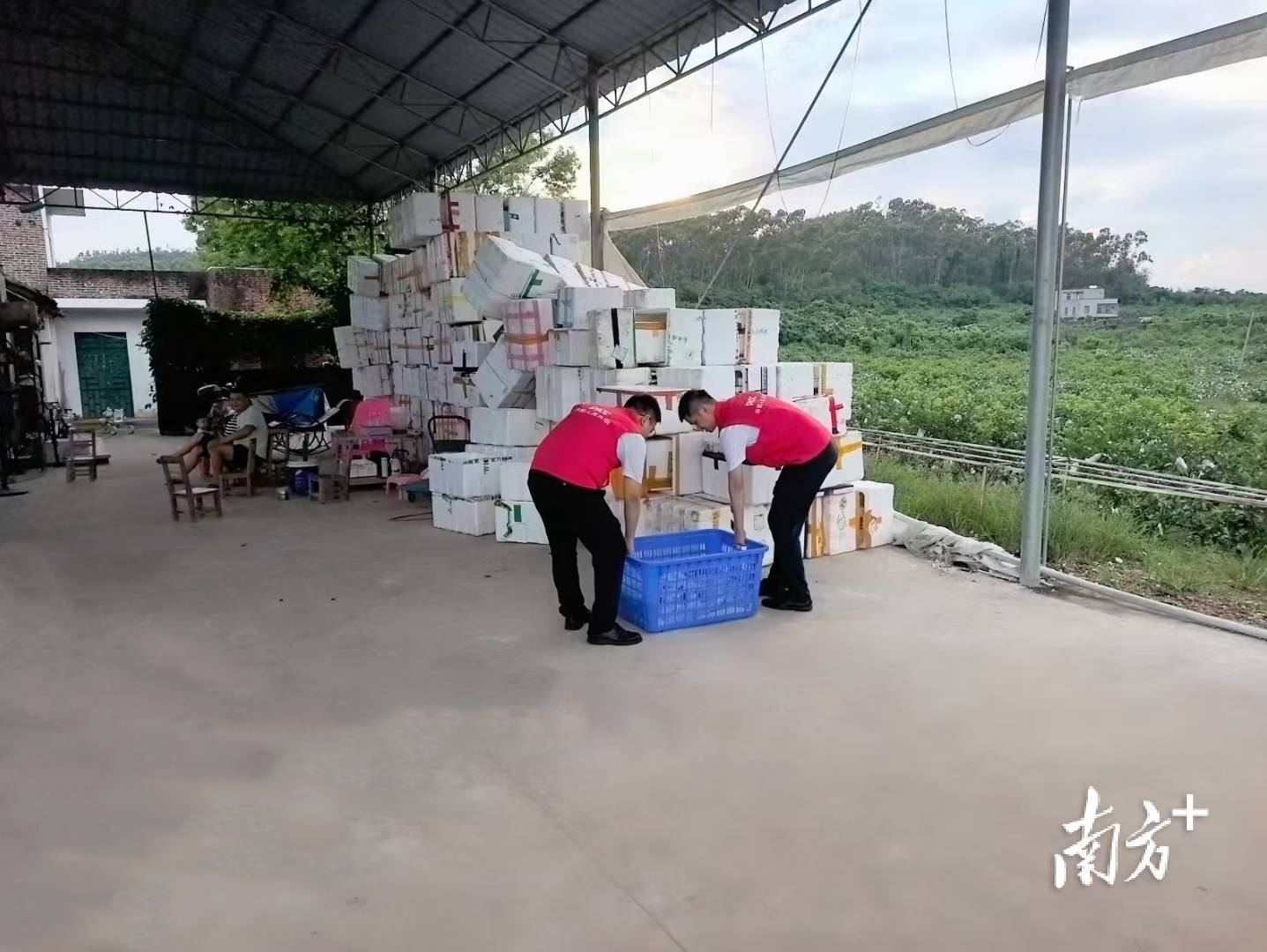 财政金融协同发力,筑牢台风“桦加沙”防灾安全线