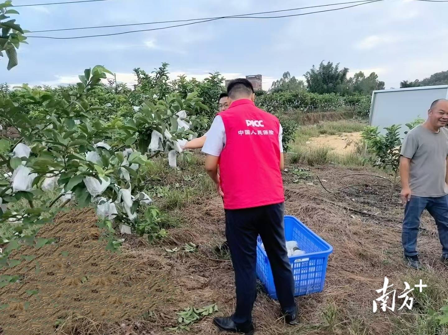 财政金融协同发力,筑牢台风“桦加沙”防灾安全线