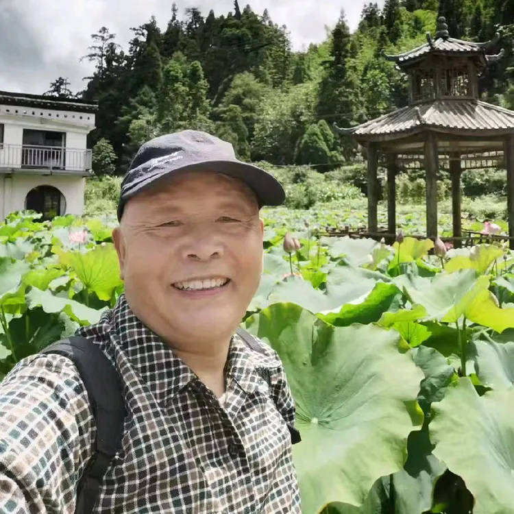 七律 坐动车(外五首)